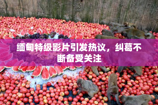 缅甸特级影片引发热议，纠葛不断备受关注