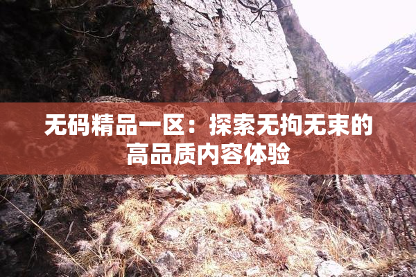 无码精品一区：探索无拘无束的高品质内容体验