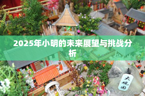 2025年小明的未来展望与挑战分析