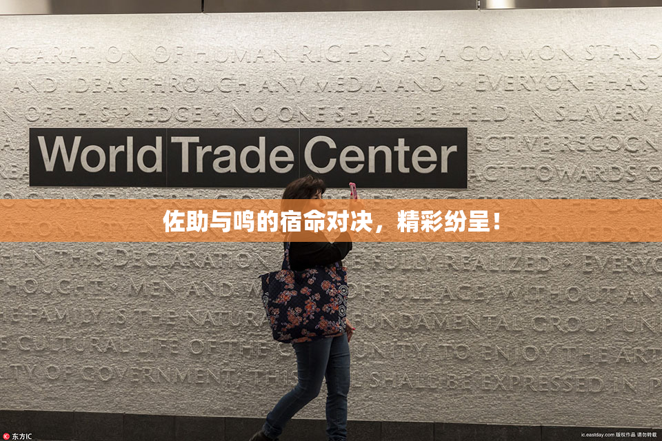 佐助与鸣的宿命对决，精彩纷呈！