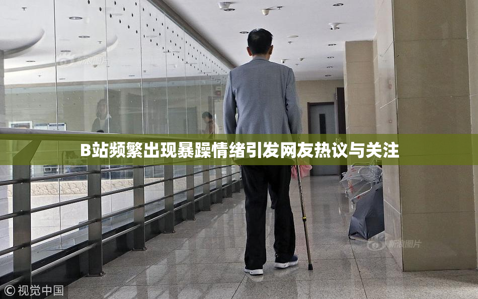 B站频繁出现暴躁情绪引发网友热议与关注