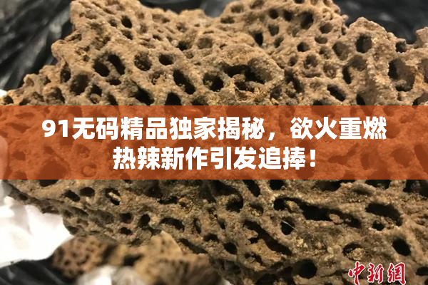 91无码精品独家揭秘，欲火重燃热辣新作引发追捧！