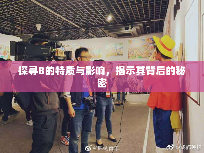 探寻B的特质与影响，揭示其背后的秘密