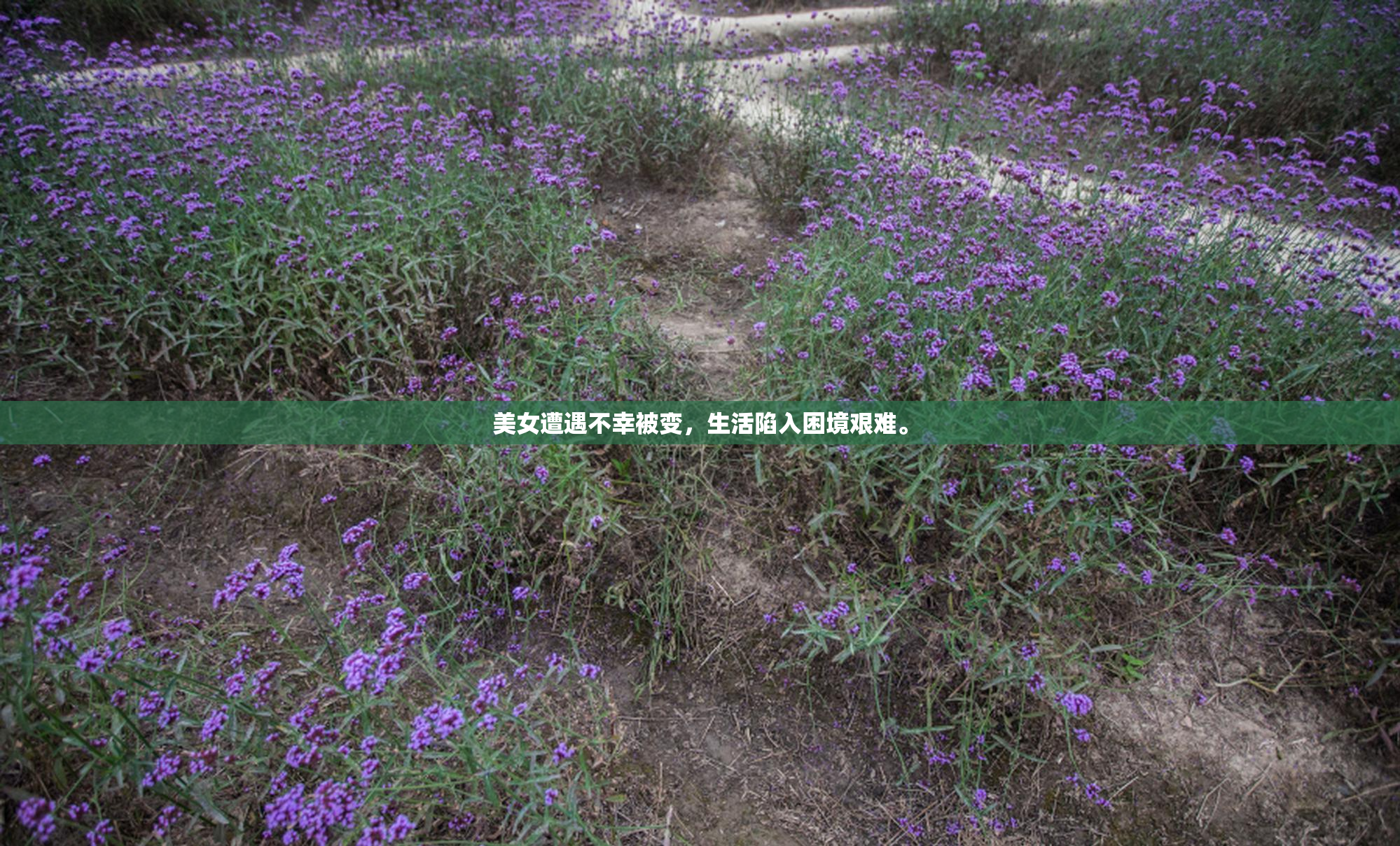 美女遭遇不幸被变，生活陷入困境艰难。