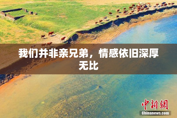 我们并非亲兄弟，情感依旧深厚无比