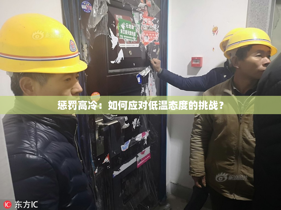 惩罚高冷：如何应对低温态度的挑战？