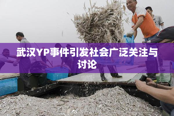 武汉YP事件引发社会广泛关注与讨论