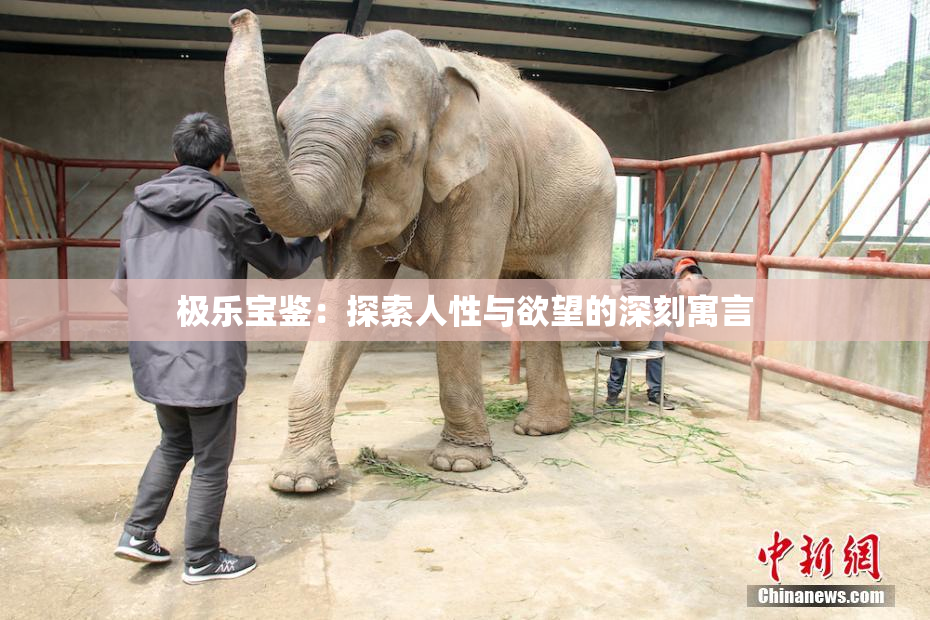极乐宝鉴：探索人性与欲望的深刻寓言