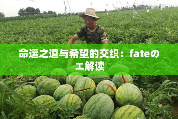 命运之道与希望的交织：fateのエ解读