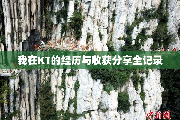 我在KT的经历与收获分享全记录