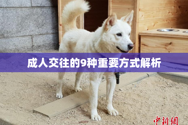 成人交往的9种重要方式解析
