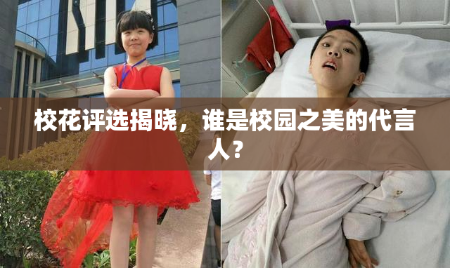 校花评选揭晓，谁是校园之美的代言人？