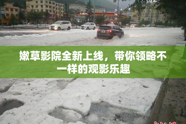 嫩草影院全新上线，带你领略不一样的观影乐趣