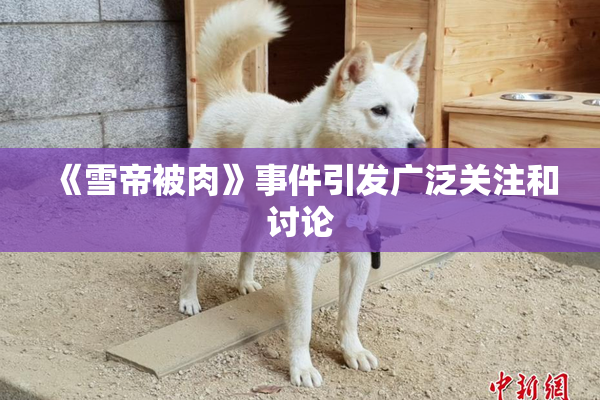 《雪帝被肉》事件引发广泛关注和讨论