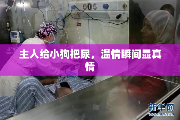 主人给小狗把尿，温情瞬间显真情