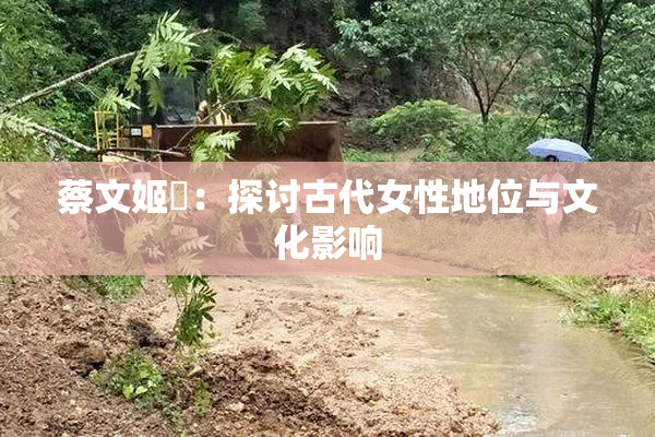 蔡文姬婬：探讨古代女性地位与文化影响
