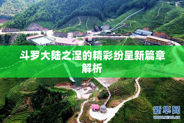 斗罗大陆之涅的精彩纷呈新篇章解析