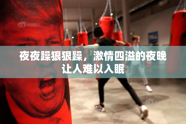 夜夜躁狠狠躁，激情四溢的夜晚让人难以入眠