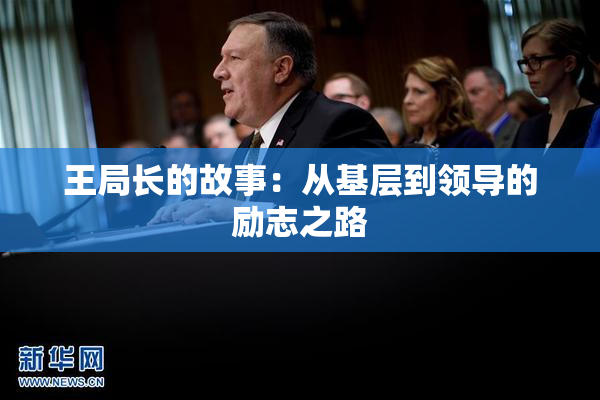 王局长的故事：从基层到领导的励志之路