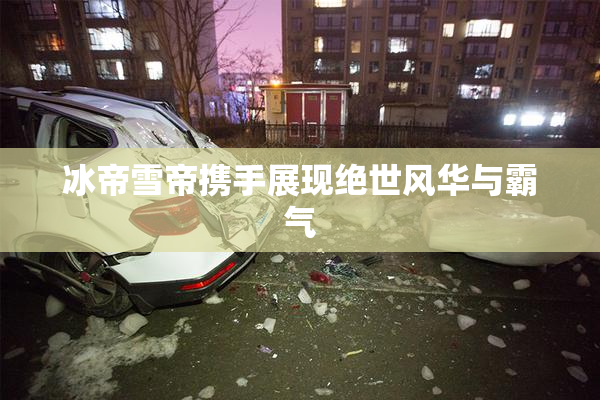 冰帝雪帝携手展现绝世风华与霸气