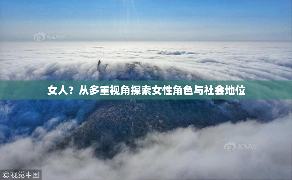 女人？从多重视角探索女性角色与社会地位