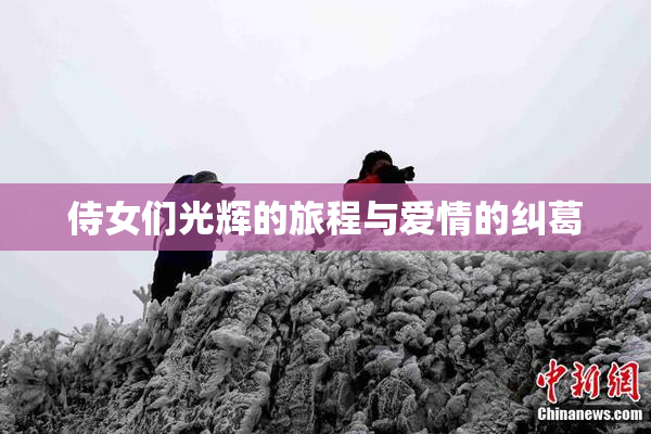 侍女们光辉的旅程与爱情的纠葛