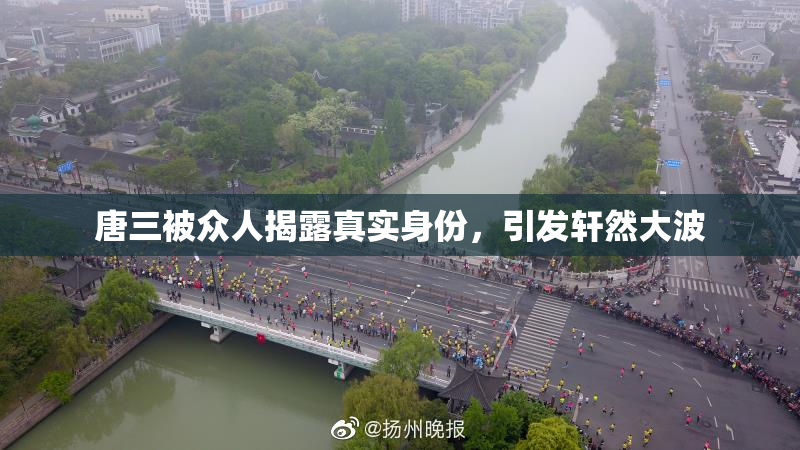 唐三被众人揭露真实身份，引发轩然大波
