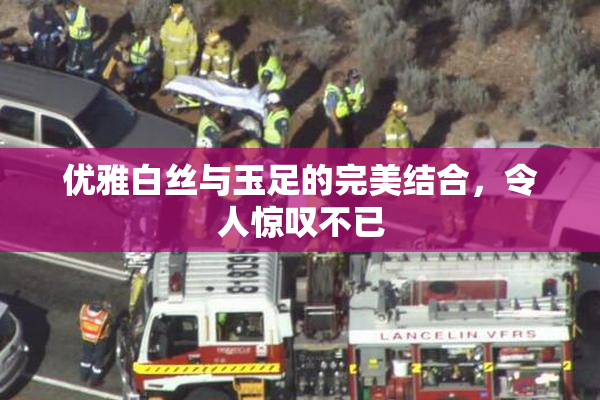 优雅白丝与玉足的完美结合，令人惊叹不已