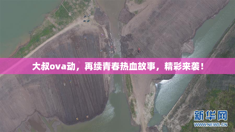 大叔ova动，再续青春热血故事，精彩来袭！