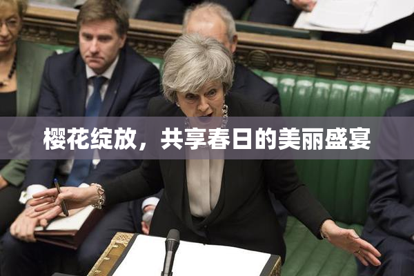 樱花绽放，共享春日的美丽盛宴