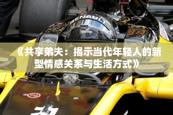 《共享弟夫：揭示当代年轻人的新型情感关系与生活方式》