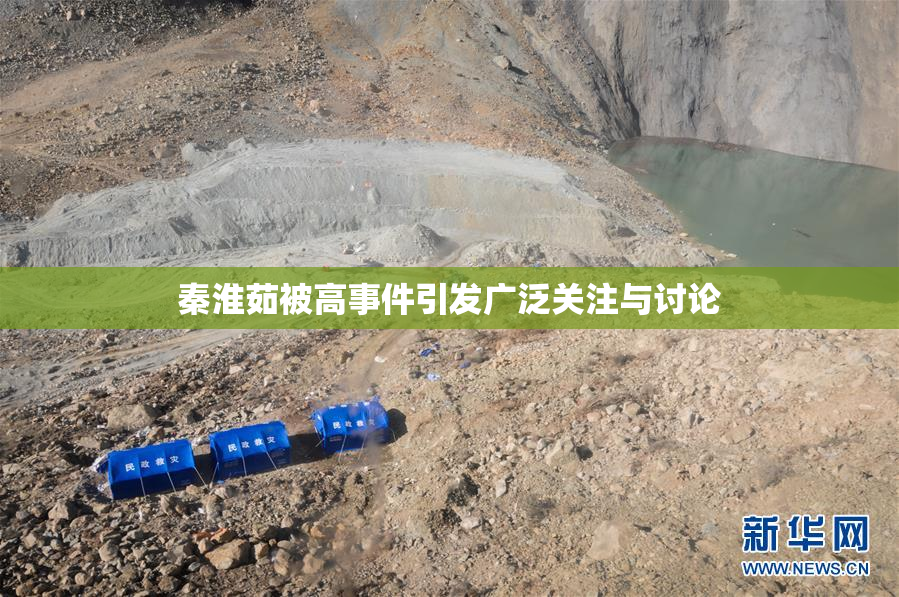 秦淮茹被高事件引发广泛关注与讨论