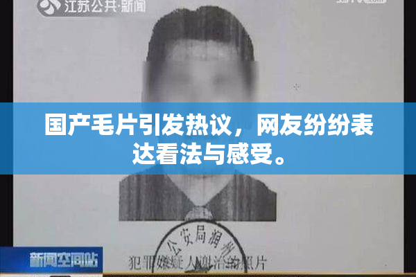 国产毛片引发热议，网友纷纷表达看法与感受。
