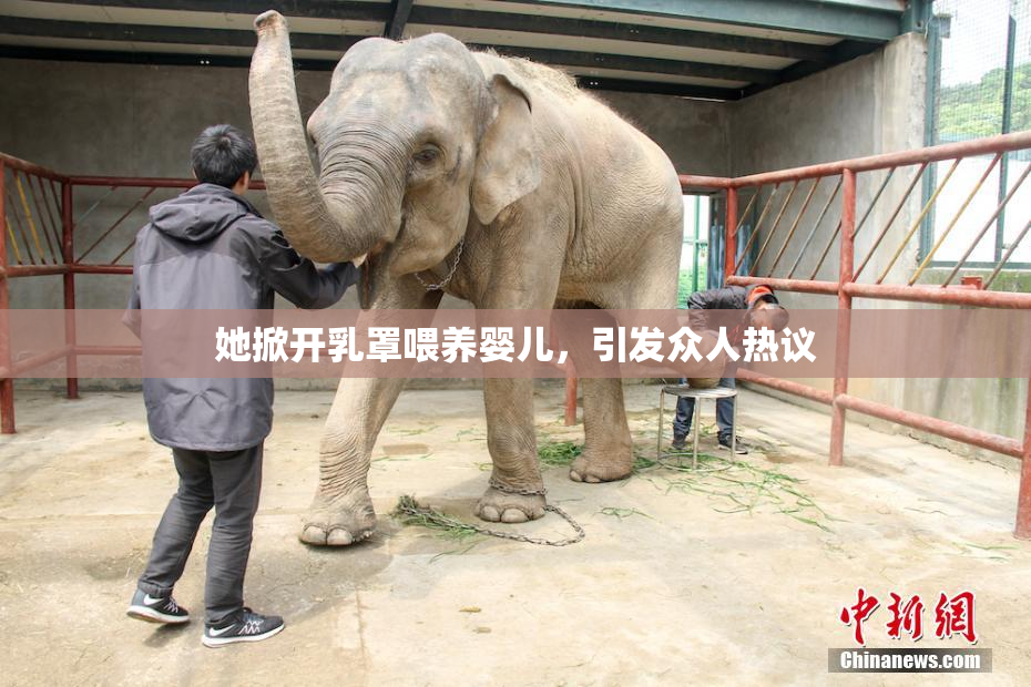 她掀开乳罩喂养婴儿，引发众人热议