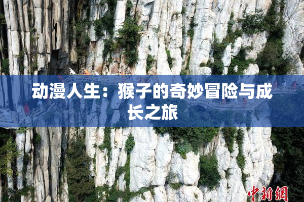 动漫人生：猴子的奇妙冒险与成长之旅