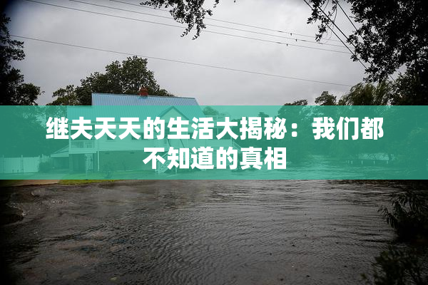 继夫天天的生活大揭秘：我们都不知道的真相