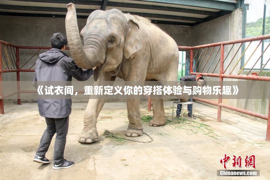 《试衣间，重新定义你的穿搭体验与购物乐趣》