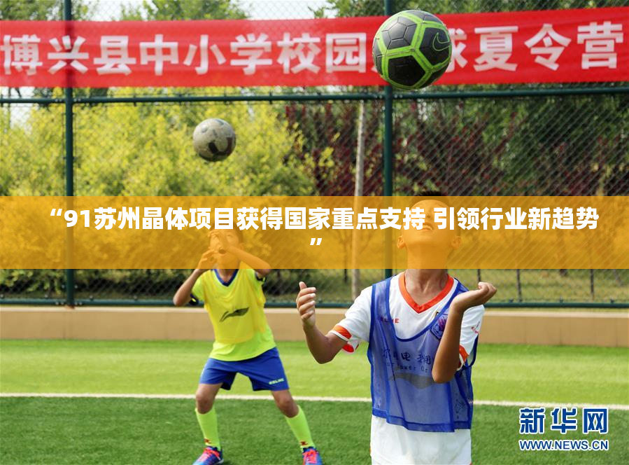 “91苏州晶体项目获得国家重点支持 引领行业新趋势”