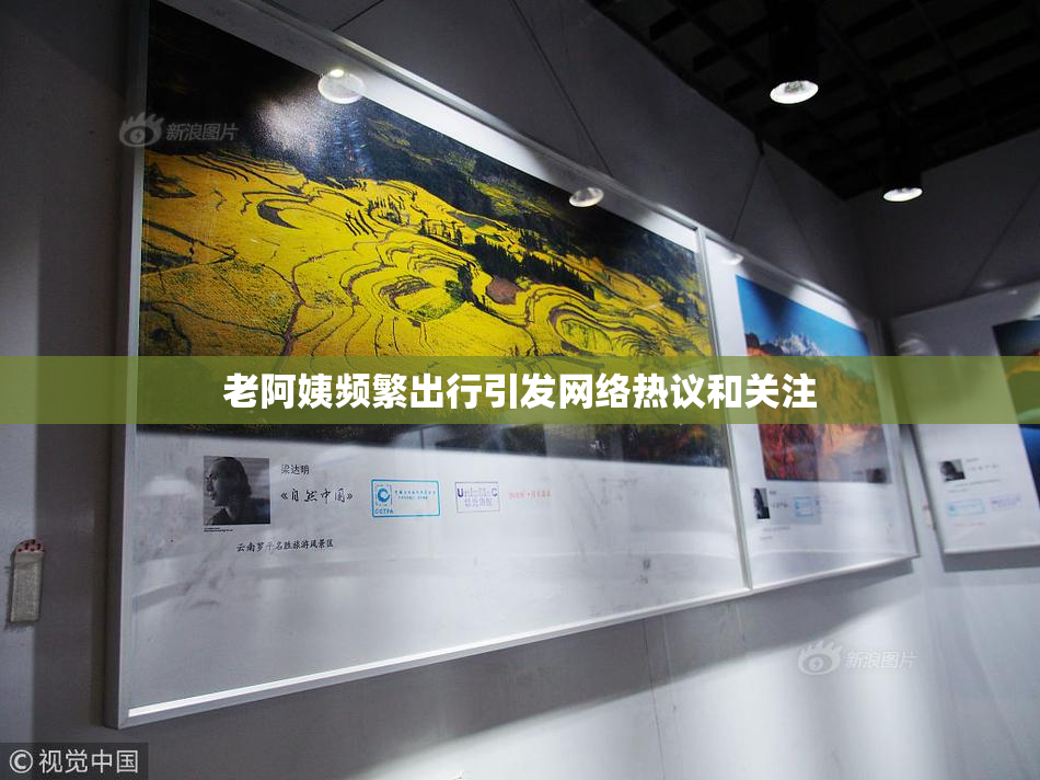 老阿姨频繁出行引发网络热议和关注
