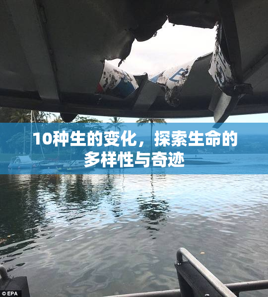 10种生的变化，探索生命的多样性与奇迹