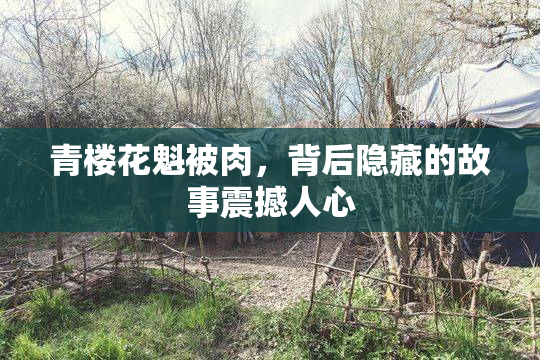 青楼花魁被肉，背后隐藏的故事震撼人心