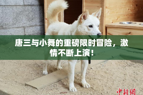 唐三与小舞的重磅限时冒险，激情不断上演！