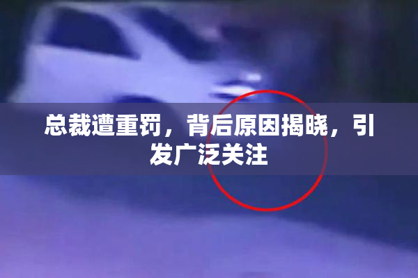 总裁遭重罚，背后原因揭晓，引发广泛关注