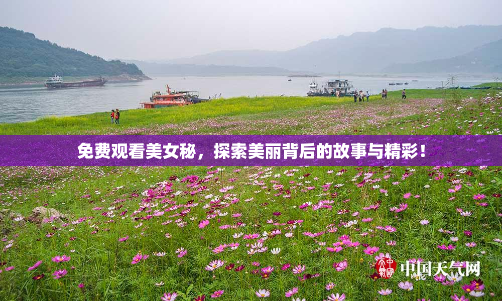 免费观看美女秘，探索美丽背后的故事与精彩！