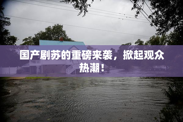 国产剧苏的重磅来袭，掀起观众热潮！