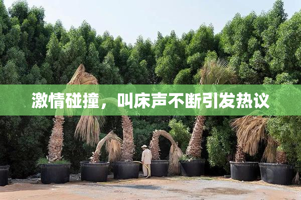激情碰撞，叫床声不断引发热议