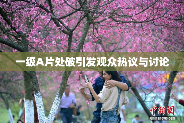 一级A片处破引发观众热议与讨论