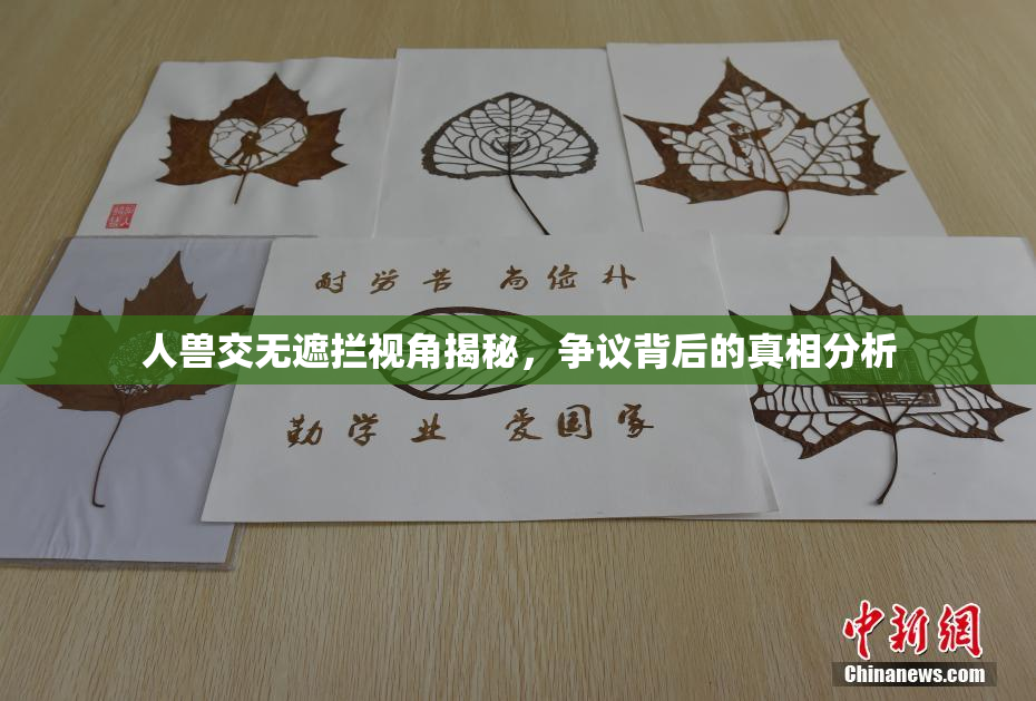 人兽交无遮拦视角揭秘，争议背后的真相分析