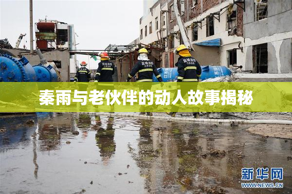 秦雨与老伙伴的动人故事揭秘