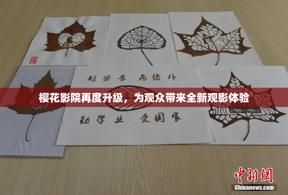 樱花影院再度升级，为观众带来全新观影体验